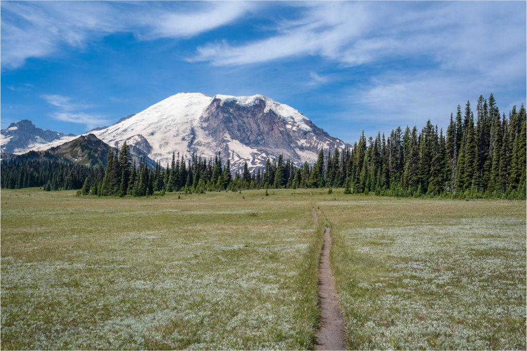 Main image Grand Park