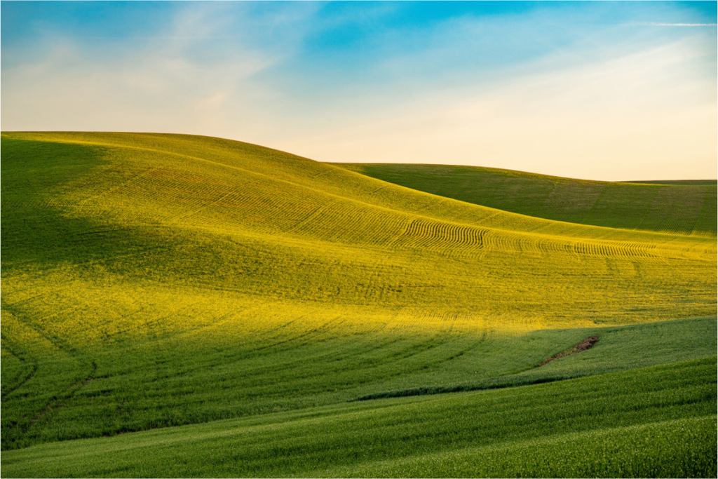 Main image The Palouse