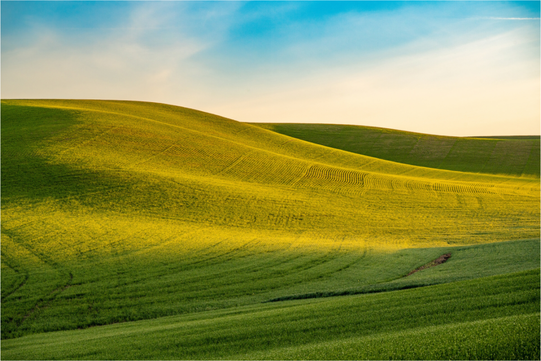 Main image The Palouse
