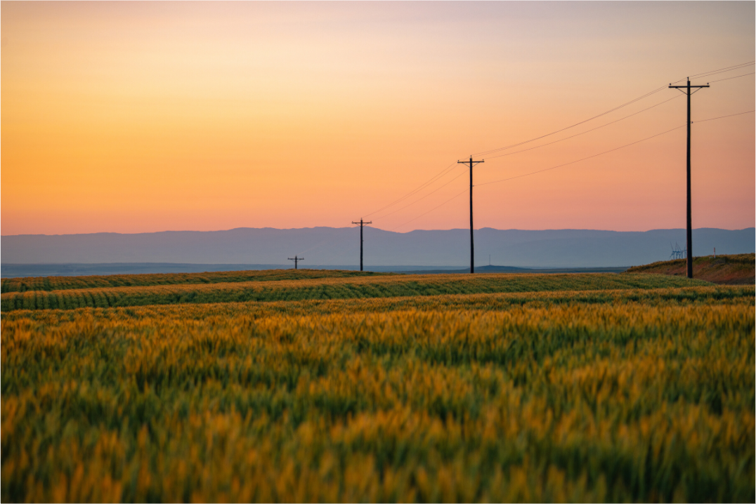 Main image Horse Heaven Hills